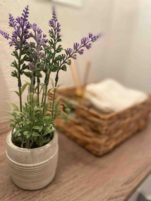 Zentrale Wohnung Gmunden Alte Baeckerei Εξωτερικό φωτογραφία